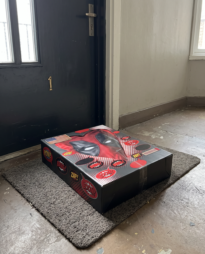 Pool Hoodie box delivered at the door